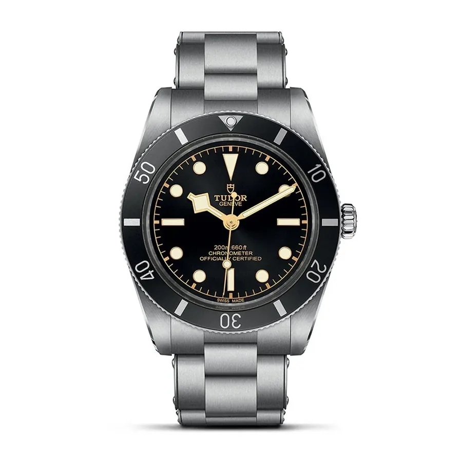 Tudor Black Bay C0921121