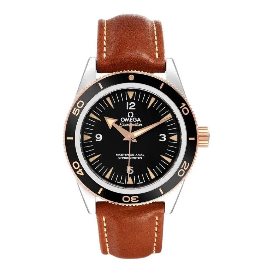Omega Seamaster 300 233.22.41.21.01.002