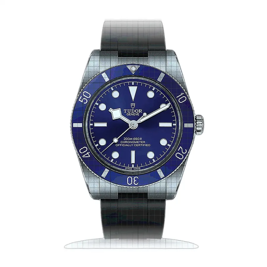 Tudor Black Bay 79000B-0002