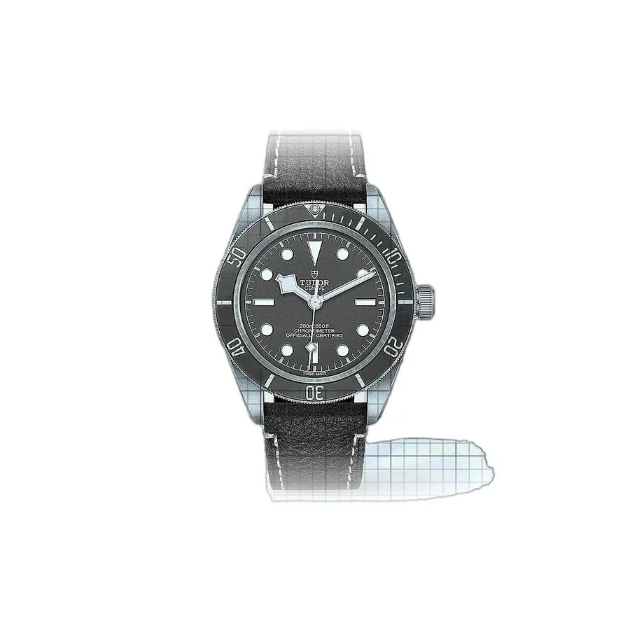 Tudor Black Bay M79010SG-0001