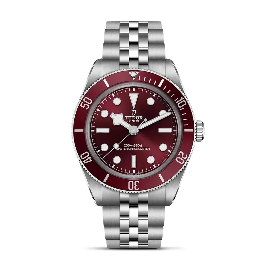 Tudor Black Bay C0930247