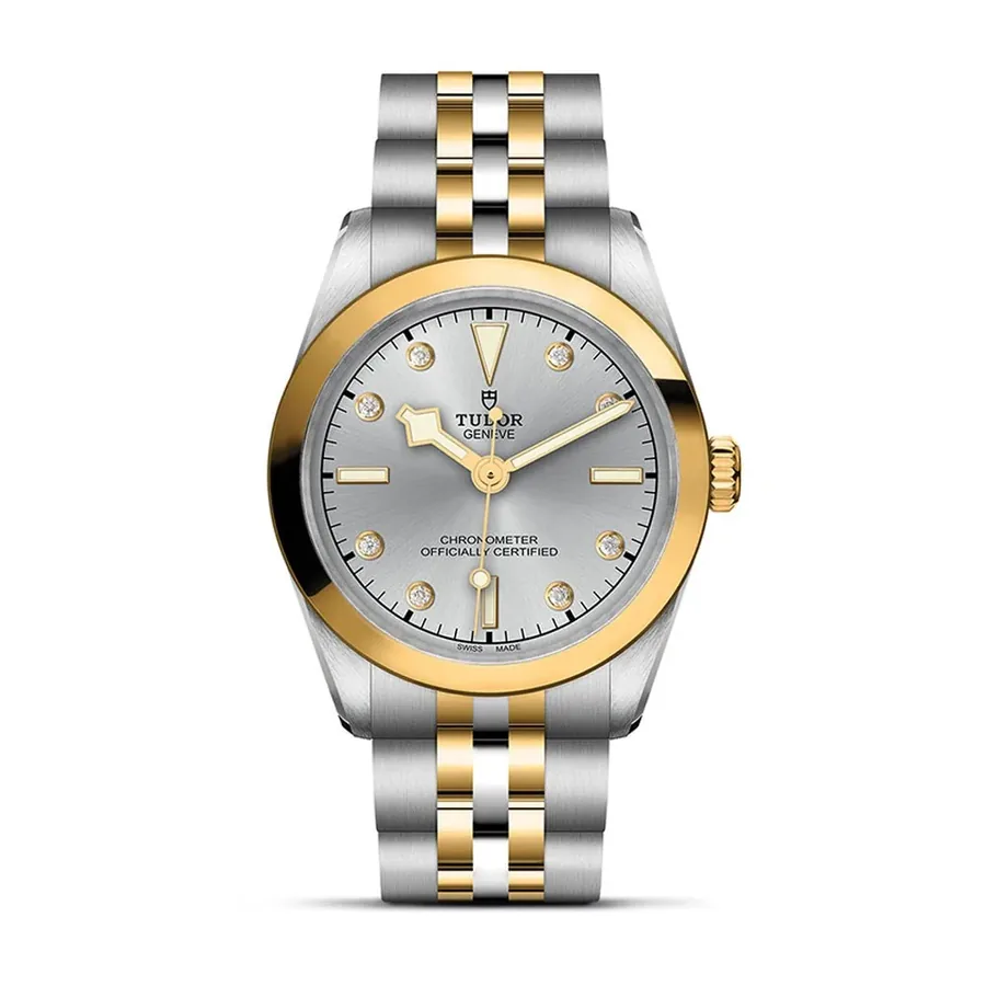 Tudor Black Bay C1145187