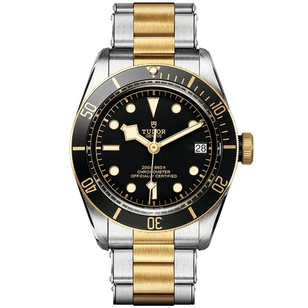 Tudor Black Bay S&G M79733N-0008