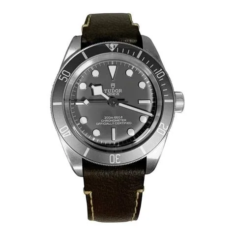 Tudor Black Bay Fifty-Eight M79010SG-0001 M79010SG 0001