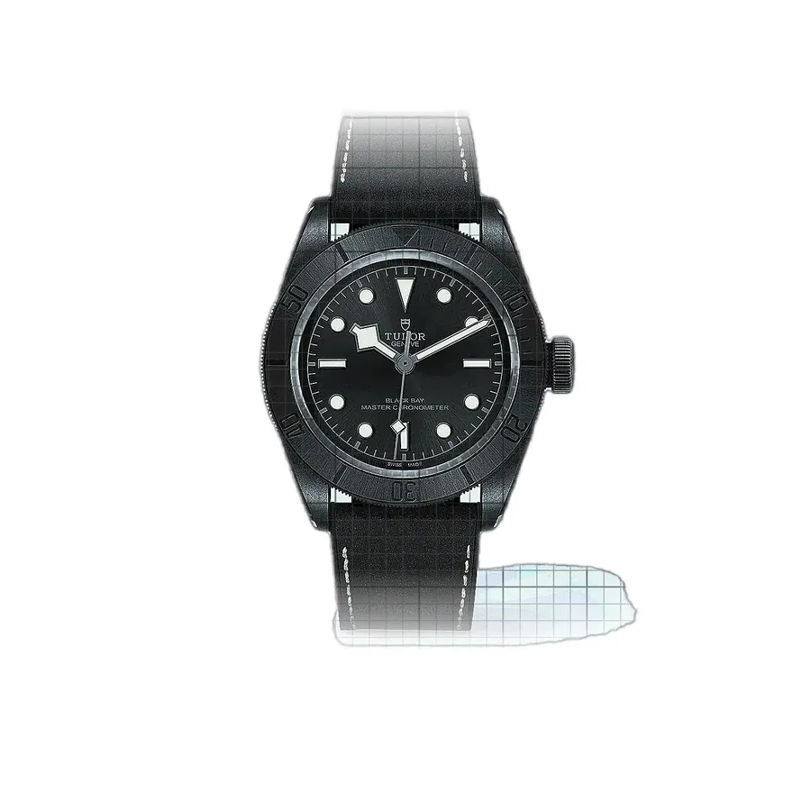 Tudor Black Bay 79210CNU-0001