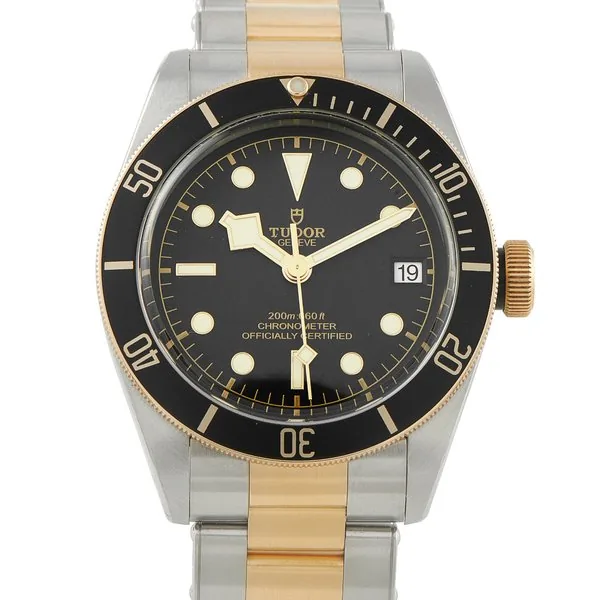Tudor Black Bay 79733N