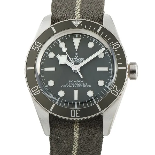 Tudor Black Bay Fifty-Eight 79010SG-0001