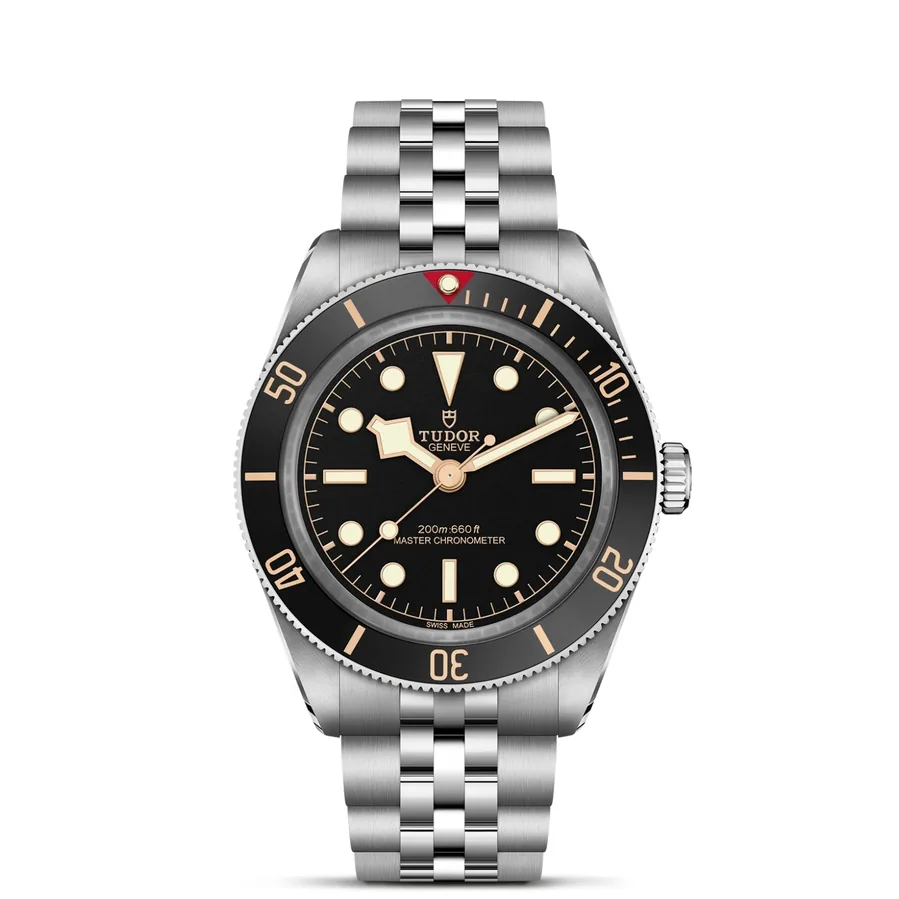 Tudor Black Bay M7939A1A0NU-0001