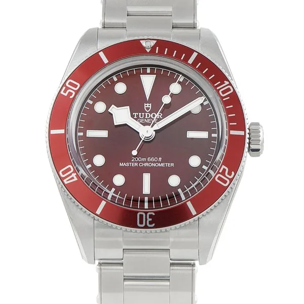 Tudor Black Bay 7939A1A0RU