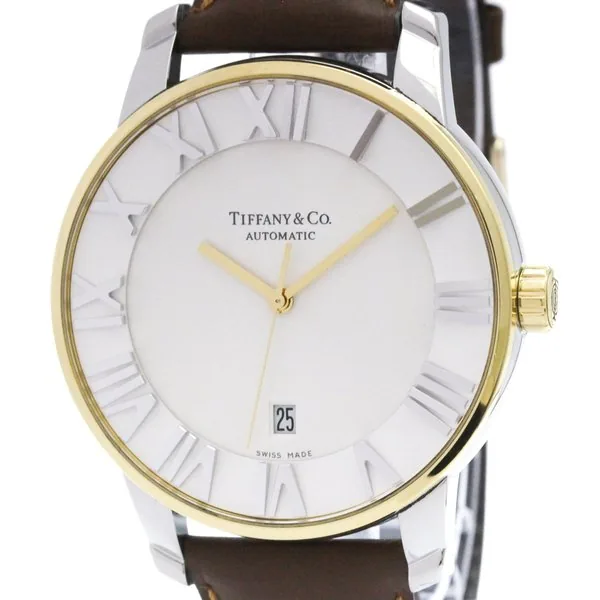 Tiffany Atlas Dome 60534