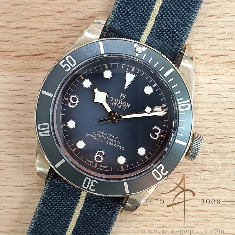 Tudor Black Bay 79250BA