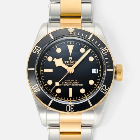 Tudor Black Bay S&G 79733N-0002