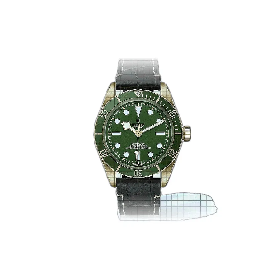 Tudor Black Bay M79018V-0001