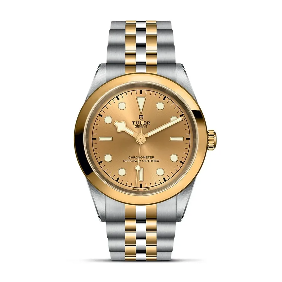 Tudor Black Bay C0919489