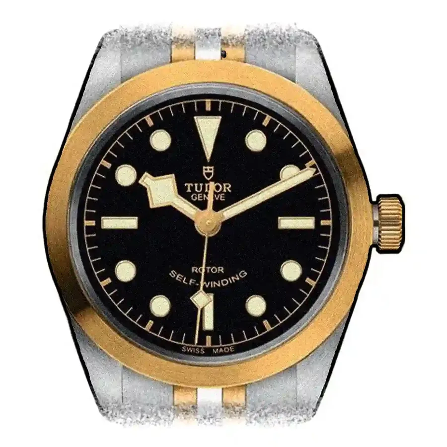 Tudor Black Bay 79503-0001