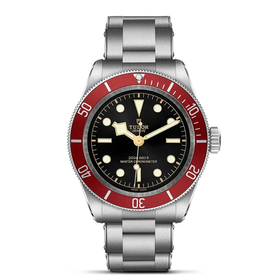 Tudor Black Bay 52-24-031