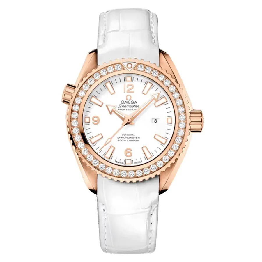 Omega Seamaster Planet Ocean 600M 17332278