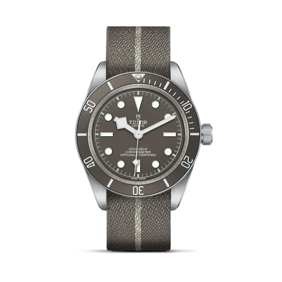 Tudor Black Bay Fifty-Eight M79010SG-0002 GSWS0069