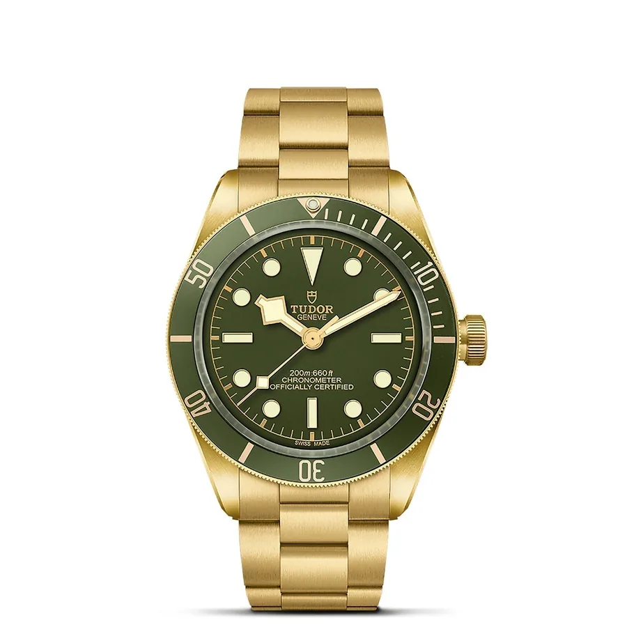 Tudor Black Bay Fifty-Eight18k 58 M79018V-0006