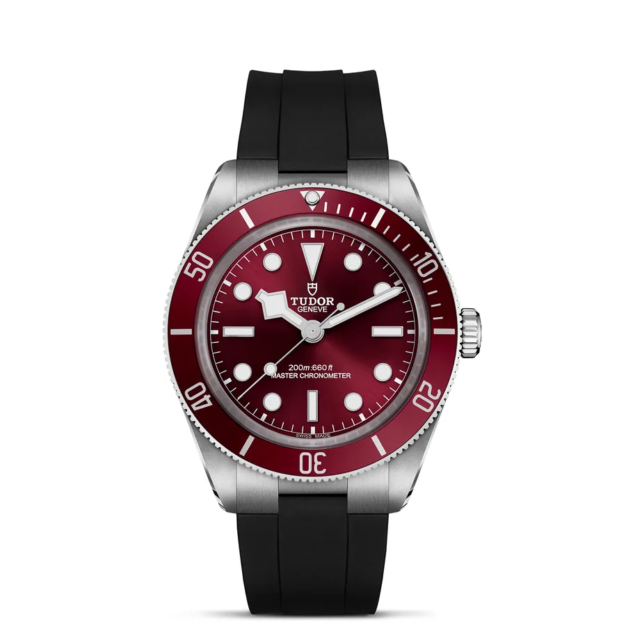 Tudor Black Bay 743050