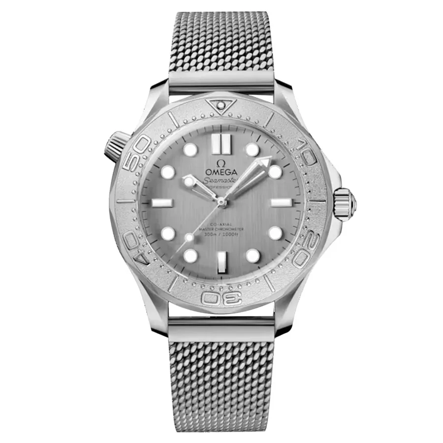 Omega Seamaster Diver 300M 17332341