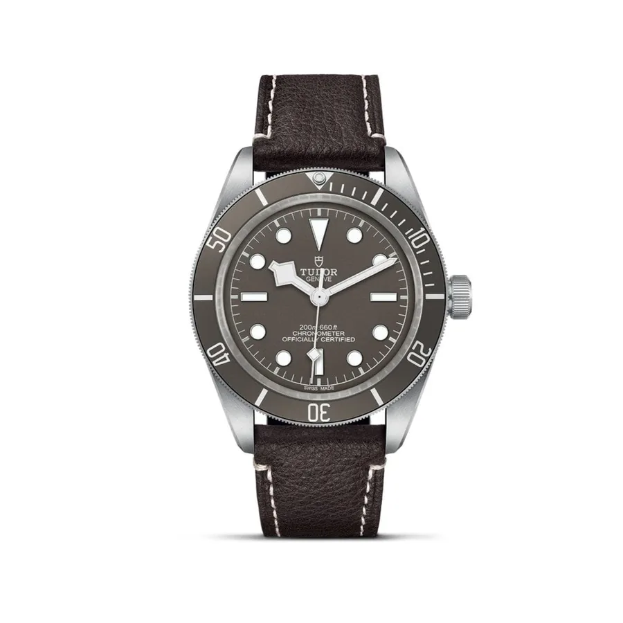 Tudor Black Bay Fifty-Eight M79010SG-0001 GSWS0067