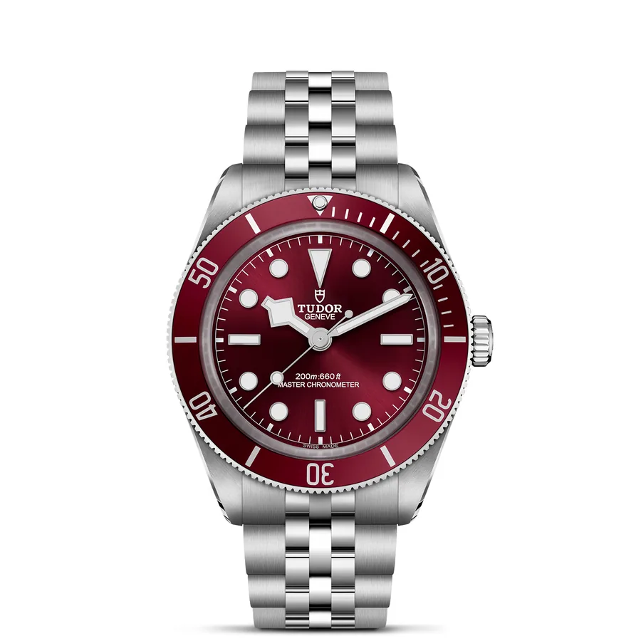 Tudor Black Bay 743160