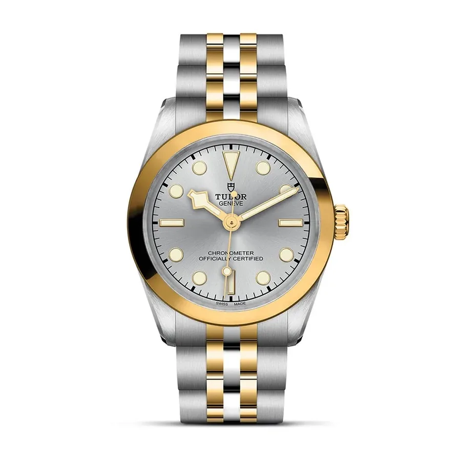 Tudor Black Bay C1146532