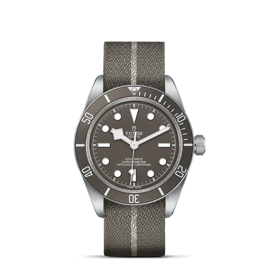 Tudor Black Bay 742732