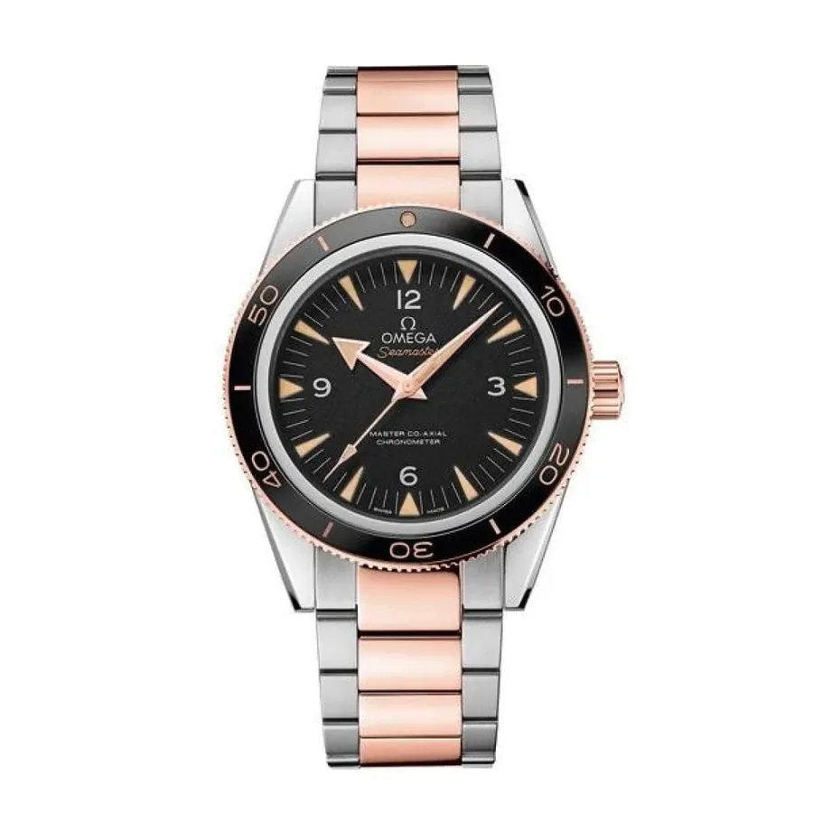 Omega SEAMASTER 10-20-21279
