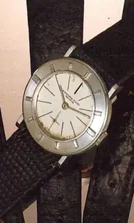 Audemars Piguet Audemars Piguet Platinum Silver