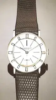 Audemars Piguet Audemars Piguet 29mm Platinum Silver