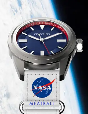 Awake MISSION TO EARTH - "MEATBALL"