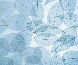 Bovet 19Thirty Anniversary