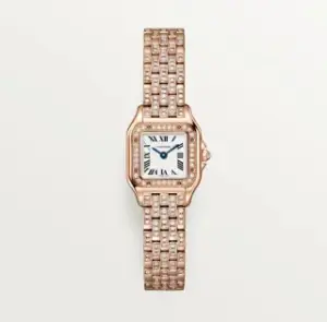 Cartier Cartier Panthère WJPN0063 20mm Rose gold Silver