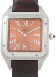 Cartier Cartier Santos Dumont WGSA0113 46.5mm Platinum