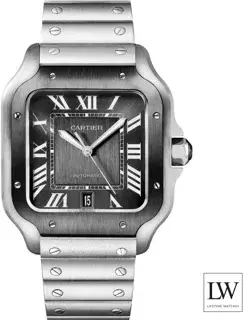 Cartier Cartier Santos de Cartier WSSA0037 42mm Stainless steel Gray