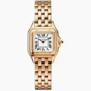 Cartier Cartier Panthère WGPN0040 Rose gold Silver