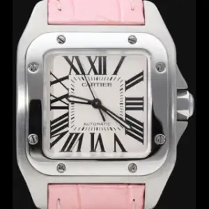Cartier Cartier Santos 100 2878 / W20126X8 Stainless steel Silver