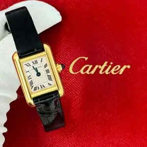 Cartier Cartier Tank Louis CartierMini Cartier Unworn 2025 / WGTA0352
