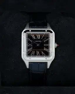 Cartier Cartier Santos Dumont WGSA0099 31.5mm Platinum Blue