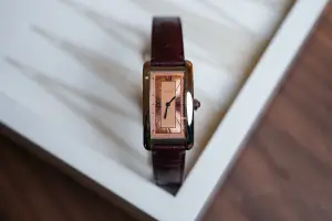 Cartier Tank Américaine Art Deco Salmon Sector Dial