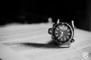 Citizen Aqualand Promaster