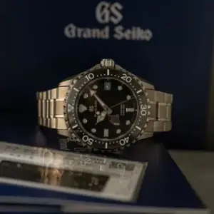 Grand Seiko Grand Seiko Spring Drive SBGA231 44.2mm Titanium Black