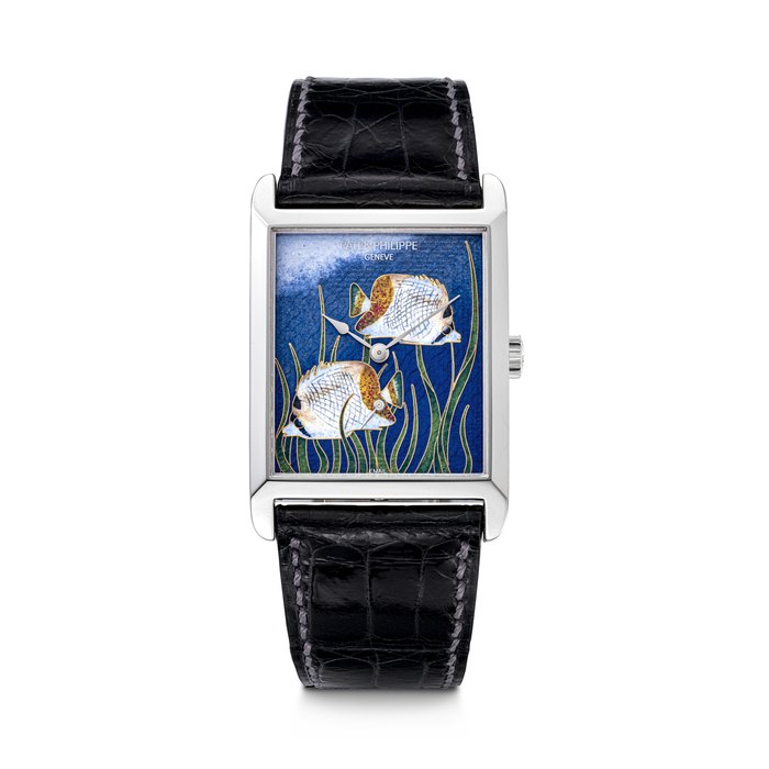 Patek Philippe PATEK PHILIPPE. A RARE AND ENCHANTING PLATINUM WRISTWATCH WITH CLOISONNÉ ENAMEL DIAL DEPICTING "POISSONS ET ALGUES VERTES" REF. 5076P, MOVEMENT NO. 3'355'444, CASE NO. 4'358'249, MANUFACTURED IN 2007, Price & Market Data