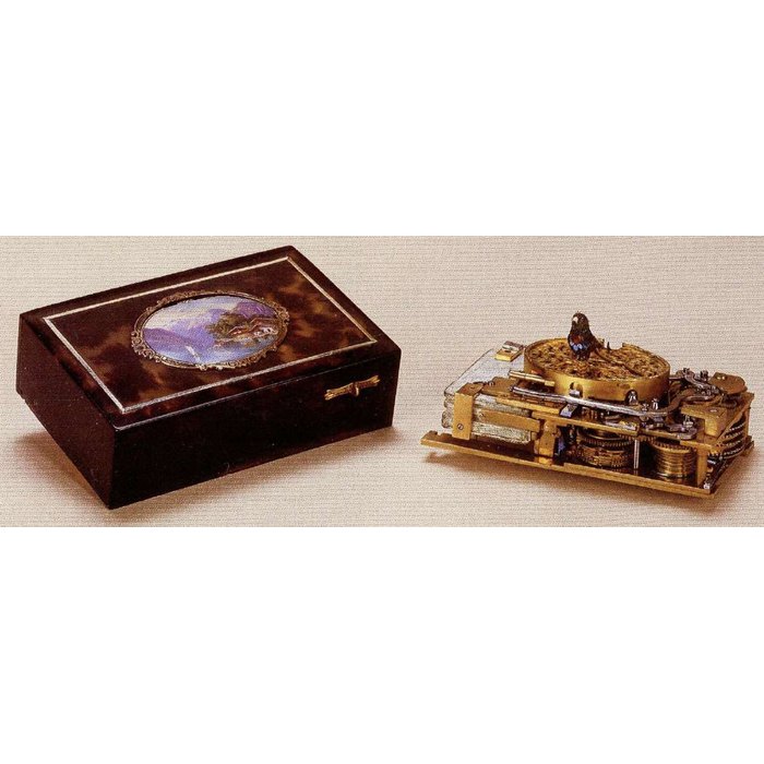  Lot 82 528, Price & Market Data
