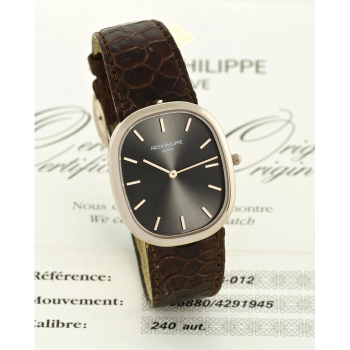 Patek Philippe Ref 3738 100G