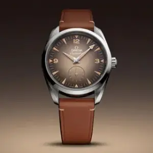 Omega Omega Railmaster 235.12.38.20.13.001 40mm Stainless steel Brown
