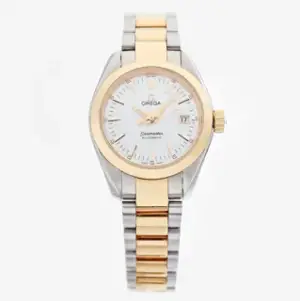 Omega Omega Aqua Terra 566.1110 29mm Yellow gold and Stainless steel