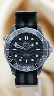 Omega Omega Seamaster 21092442001002 43.5mm Gray